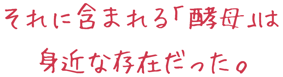 コーボンマーベル（cobon）