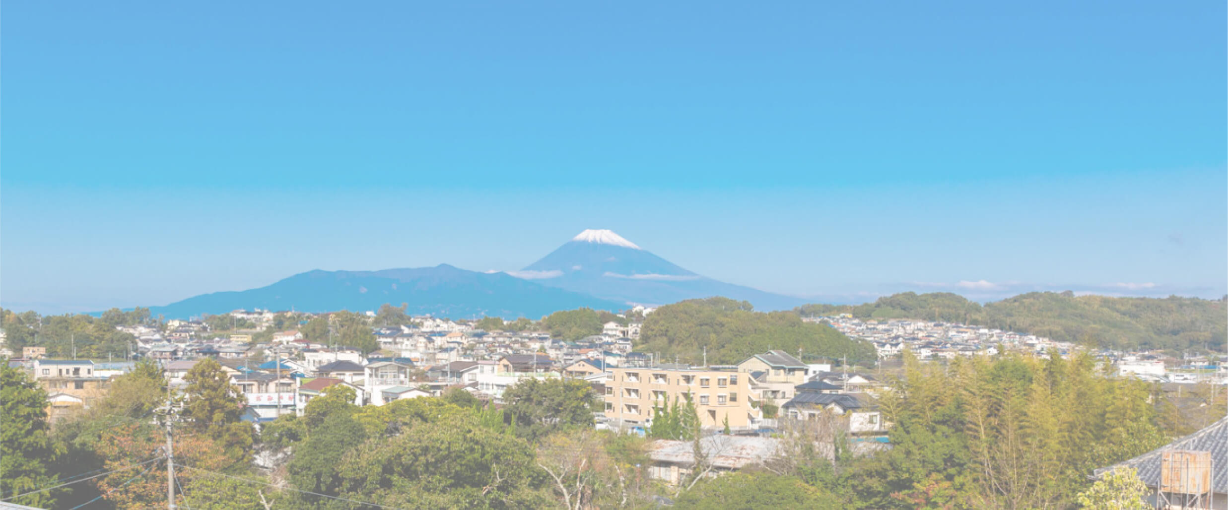 コーボンマーベル（cobon）