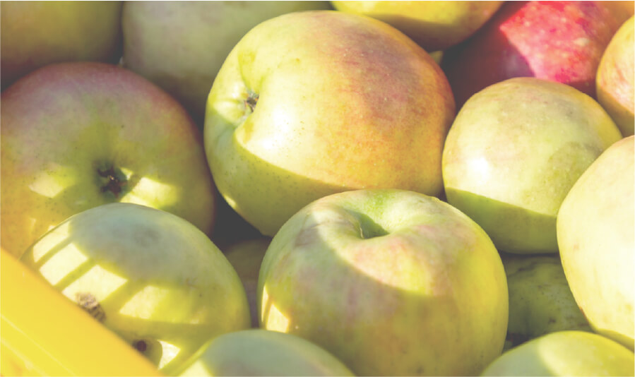 コーボンマーベル（cobon）