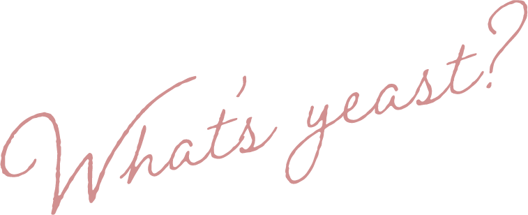 コーボンマーベル（cobon）