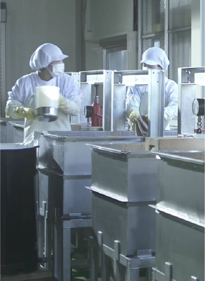 コーボンマーベル（cobon）