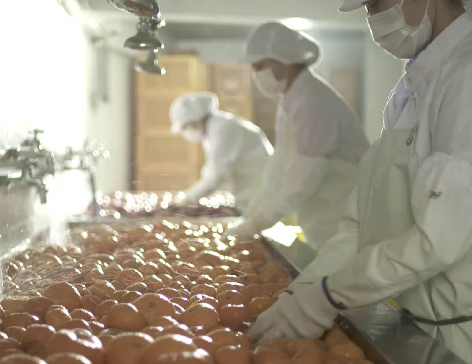 コーボンマーベル（cobon）