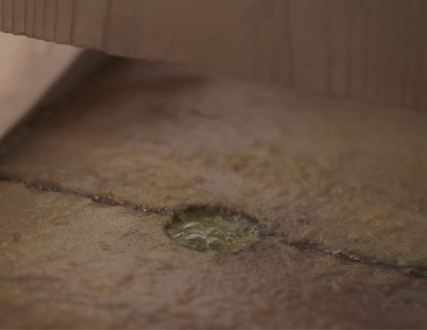 コーボンマーベル（cobon）