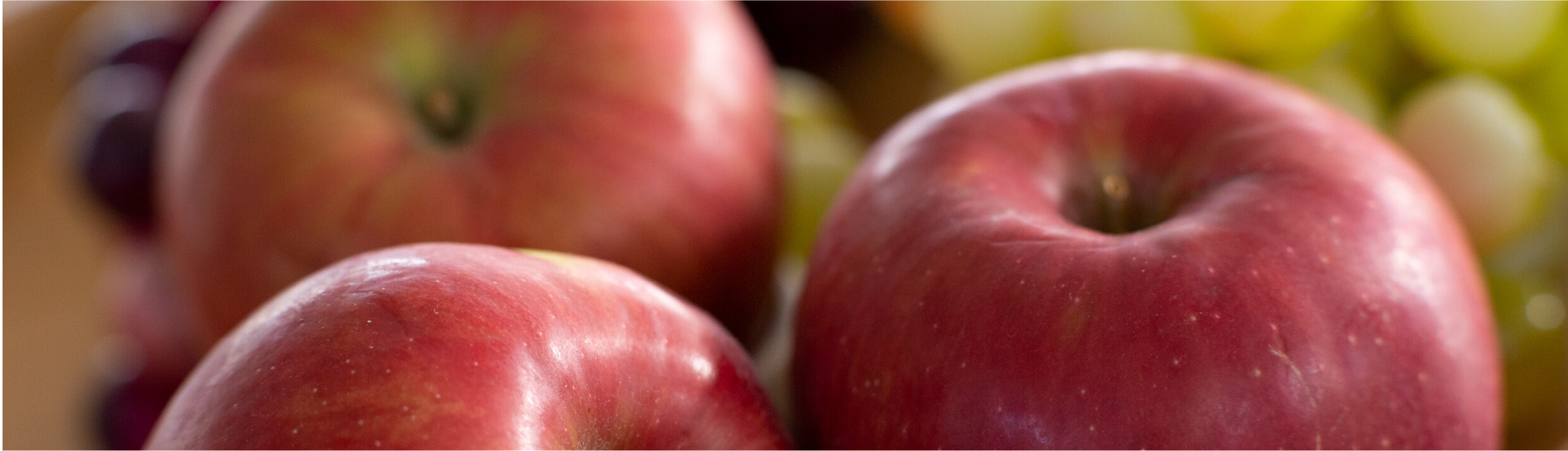 コーボンマーベル（cobon）