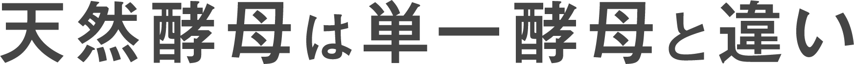 コーボンマーベル（cobon）