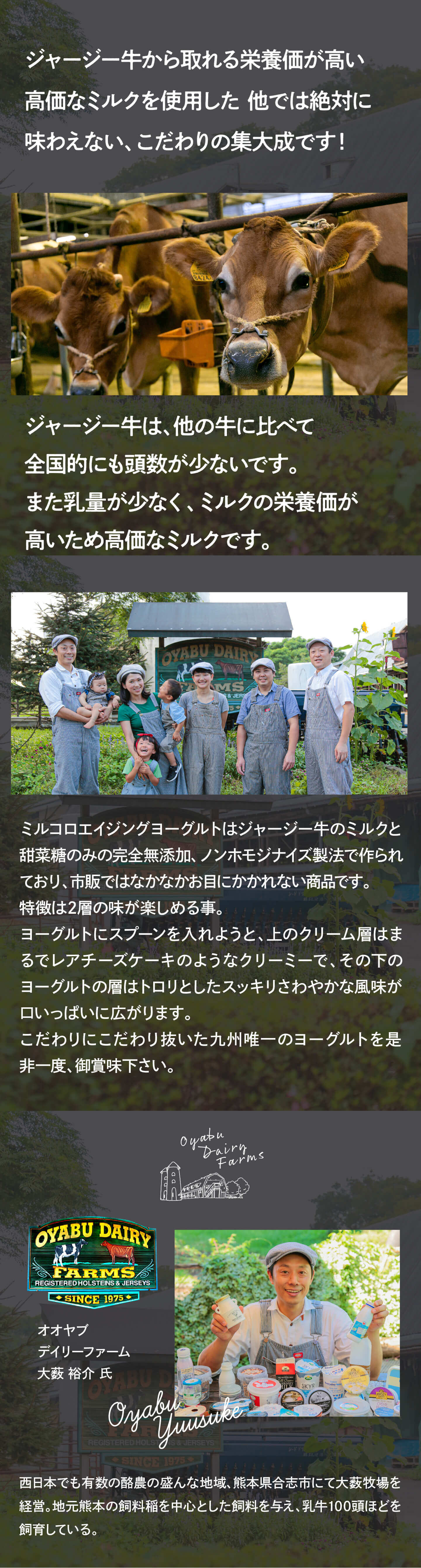 ミルコロエイジングヨーグルト〔イミコトマルシェ〕