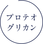 プロテオグリカン