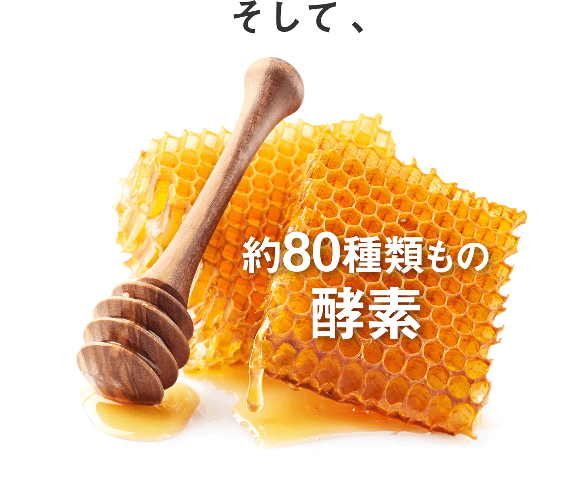 約80種類もの酵素