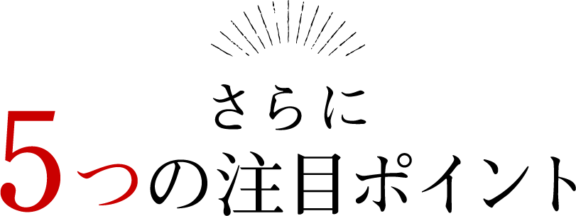 さらに5つの注目ポイント