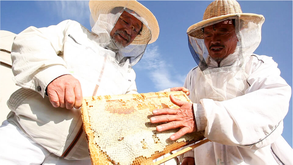 石川氏と現地の養蜂家